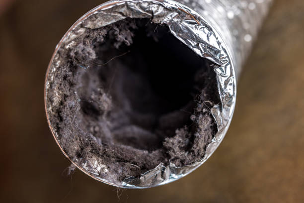 Best Air Duct Cleaning Near Me  in Chesapeake, WV